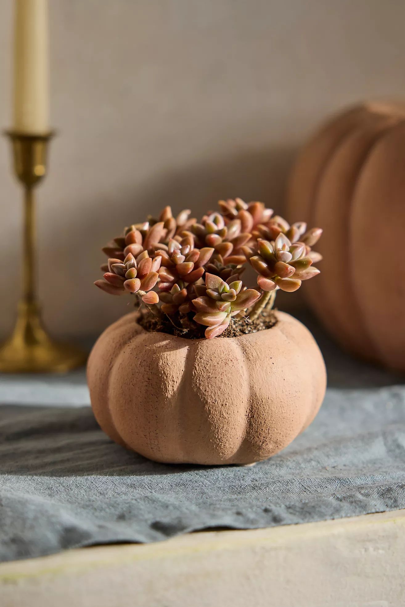 Terracotta Pumpkin Planter, Mini | Terrain