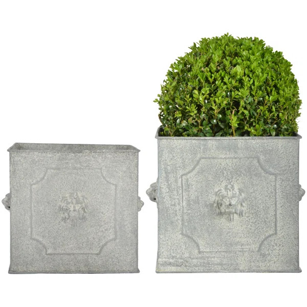 Crispen 2 - Piece Zinc Pot Planter Set | Wayfair Professional