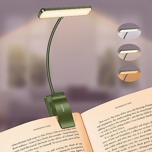 Gritin 19 LED Rechargeable Book Light for Reading in Bed with Memory Function- Eye Caring 3 Color... | Amazon (US)