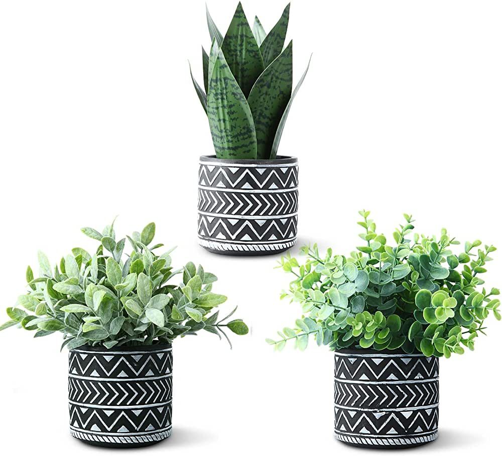 Kazeila 3 Pack Potted Fake Plants Artificial Snake Plant,Greenery Eucalyptus Leaves Plant and Flo... | Amazon (US)