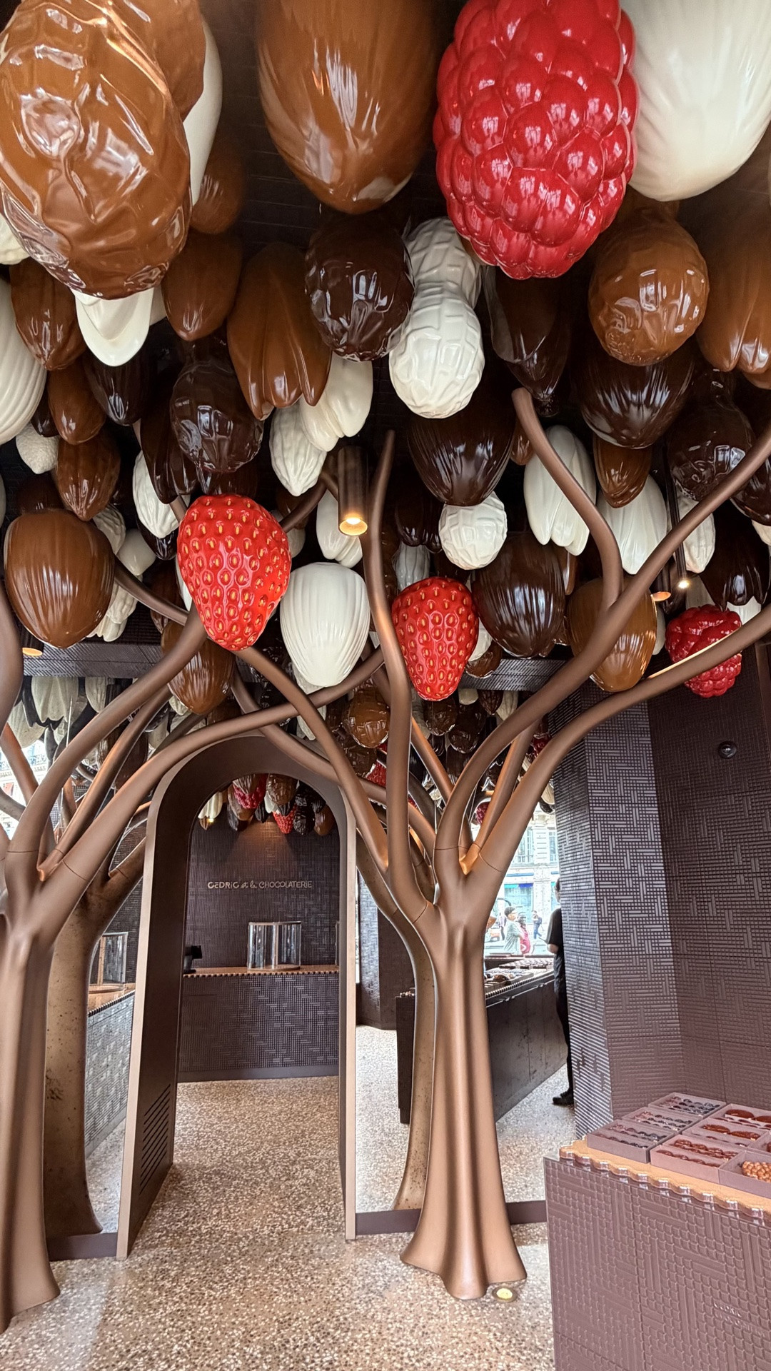Found the most magical chocolate shop in Paris!

#LTKTravel #LTKvlog #LTKfoodie