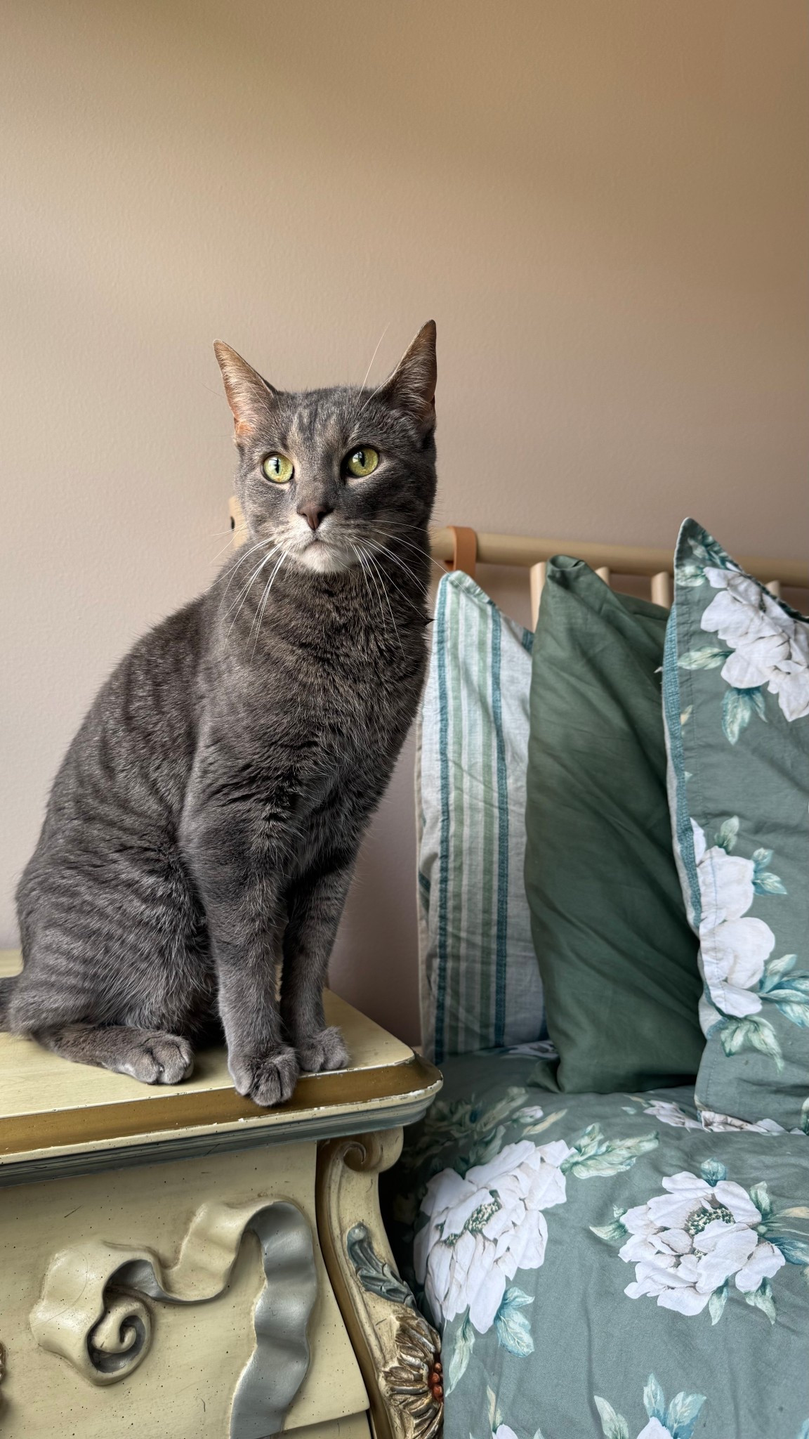 Bedding 🌼

#LTKStyleTip #LTKFamily #LTKHome