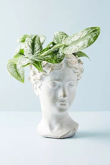 Grecian Bust Pot | Anthropologie (US)