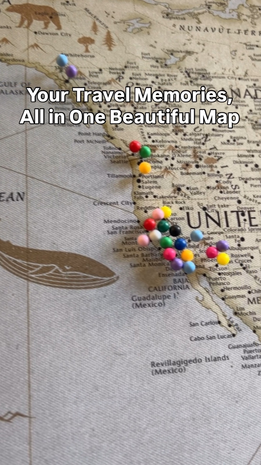 Your Travel Memories, All in One Beautiful Map

Wait until you see this gift for travelers. If you love to travel, you will love this gift.  I received this map from my parents and spent time pinning every place I’ve been and it felt so special to revisit each memory and footprint and see it come together in one place. Every pin holds a story and it honestly made me want to book my next trip. This is one of those gifts that grows with you and becomes more meaningful over time. Who would you get this for?

https://sentigrams.com

#travel #wanderlust #travelreels #travelgram #bucketlist

travel map with pins | scratch map alternative | travel gifts for her | travel gifts for him | wanderlust home decor | travel memory ideas | push pin world map | gift for travelers | travel inspiration decor

#LTKTravel #LTKvlog #LTKstorytime