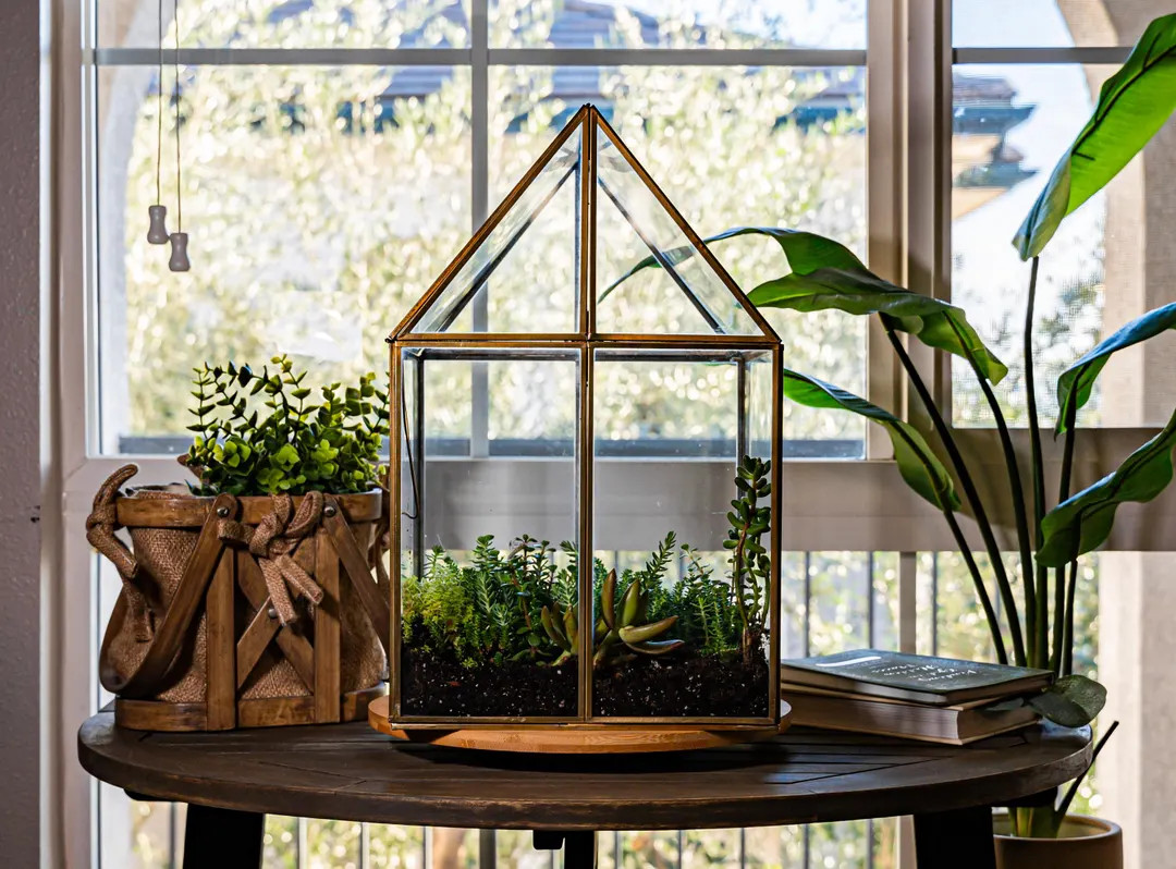 Oversized Greenhouse Terrarium With Stand: Bronze Display Case (11x11x28") - Etsy | Etsy (Global)