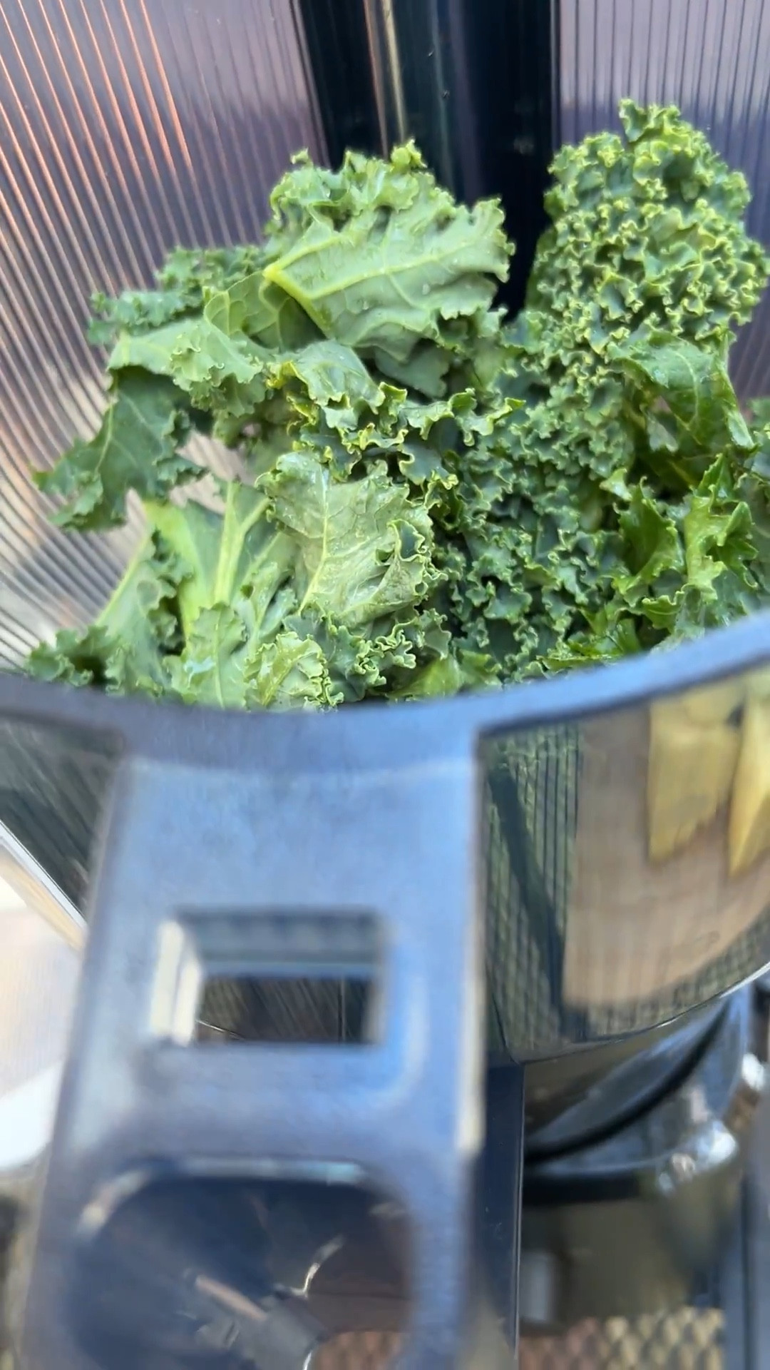 New year resolutions hit different when you invest in tools that actually support your goals ✨🥬
If prioritizing health is on your list, investing in the right juicer makes consistency easier, faster, and more realistic.
I linked the juicer I trust on LTK because this is one upgrade that truly sets the tone for the year.

#newyeargoals #newyearreset #healthinvestment #juicerlife #wellnessroutine #healthyhabits #LTKhome #LTKfinds #LTKsale #shoppingfavorites #onlineshopping #wellnessjourney #ShoppingWithPriiincesss #Atlantamom #AtlantaCreator #Atlantacontentcreators


#LTKHoliday #LTKGiftGuide #LTKfitnessgoals