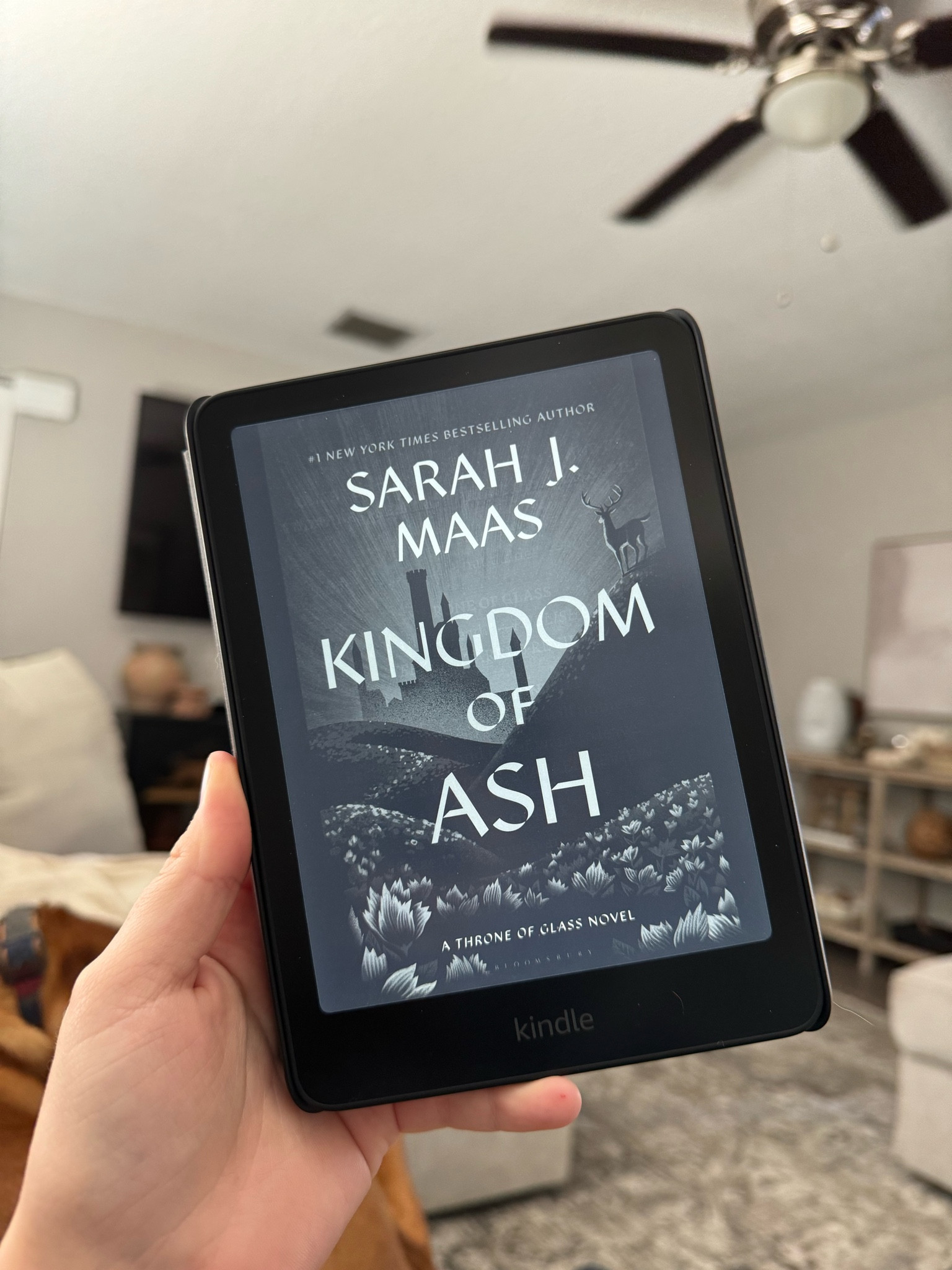 kindle paperwhite

reading | booktok| kindle | amazon 

#LTKSeasonal #LTKGiftGuide #LTKTravel