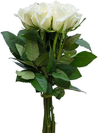 24 Stems - Fresh Cut White Rose Bouquet from Flower Explosion | Amazon (US)