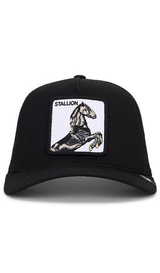 The Stallion Hat in Black | Revolve Clothing (Global)