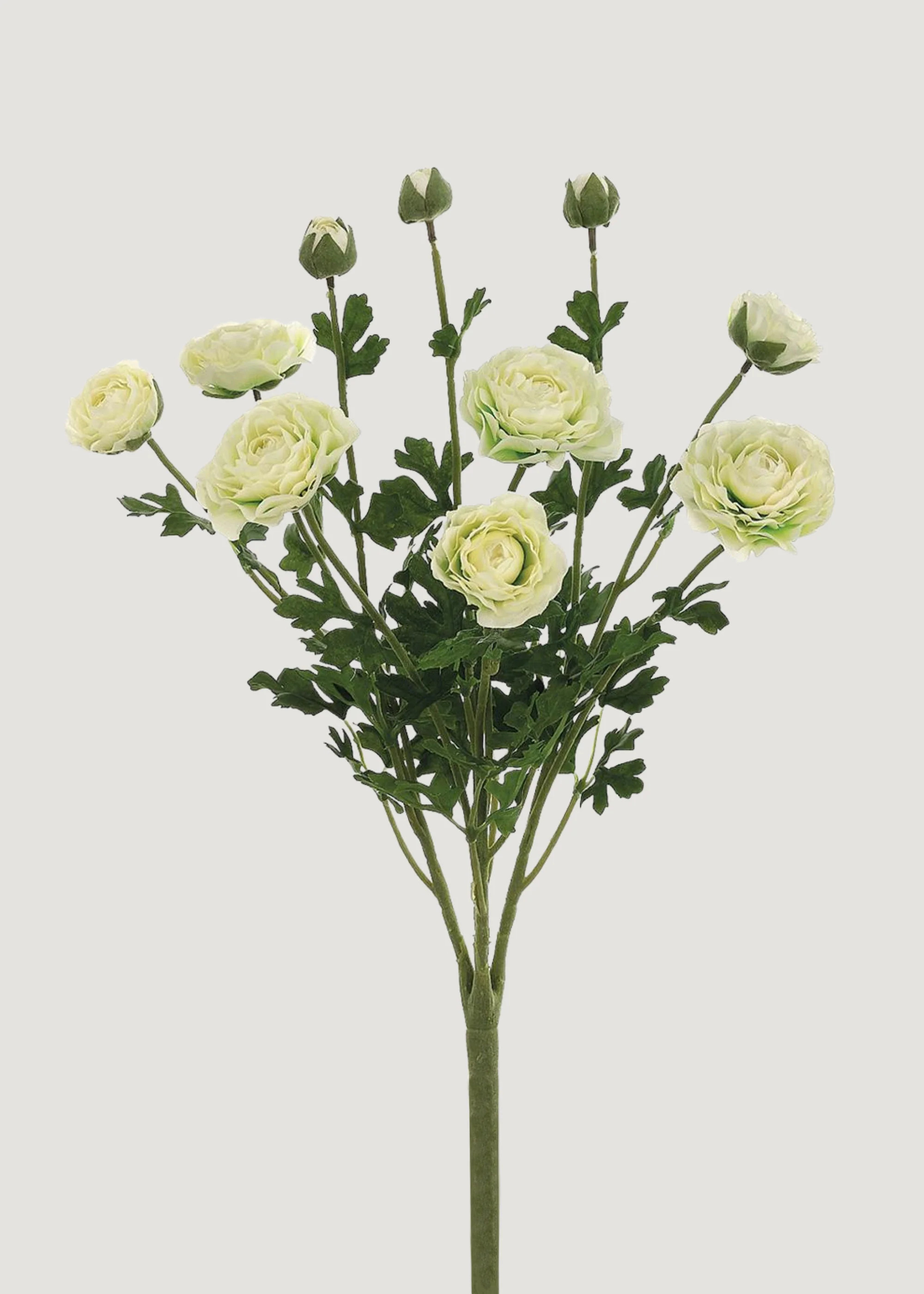 Artificial Ranunculus Flower Bush in Cream - 19 | Afloral