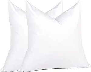 puredown® Throw Pillow Inserts 22 x 22 (Pack of 2, White), Big Throw Pillows for Floor, Couch, B... | Amazon (US)