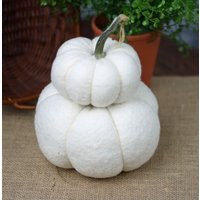 White Pumpkin Stack With Real Dried Stem Farmhouse Centerpiece | Etsy (US)