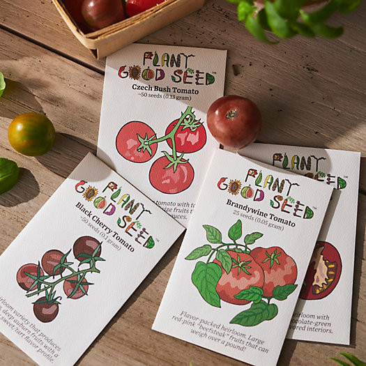 Plant Good Seed Company Tomato Seed Collection | Terrain