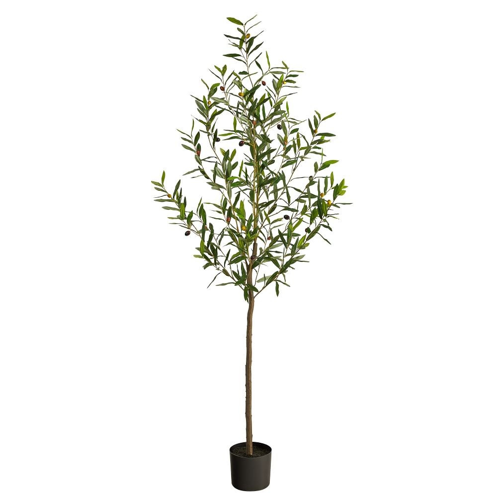 Faux Olive Tree | West Elm (US)