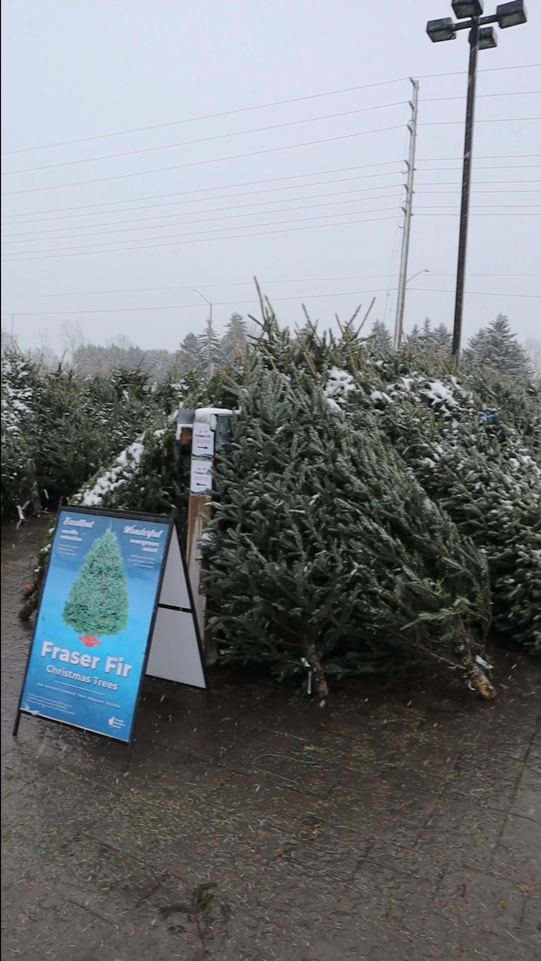 The Ending…🤩 

#LTKSeasonal #LTKhome #LTKHoliday