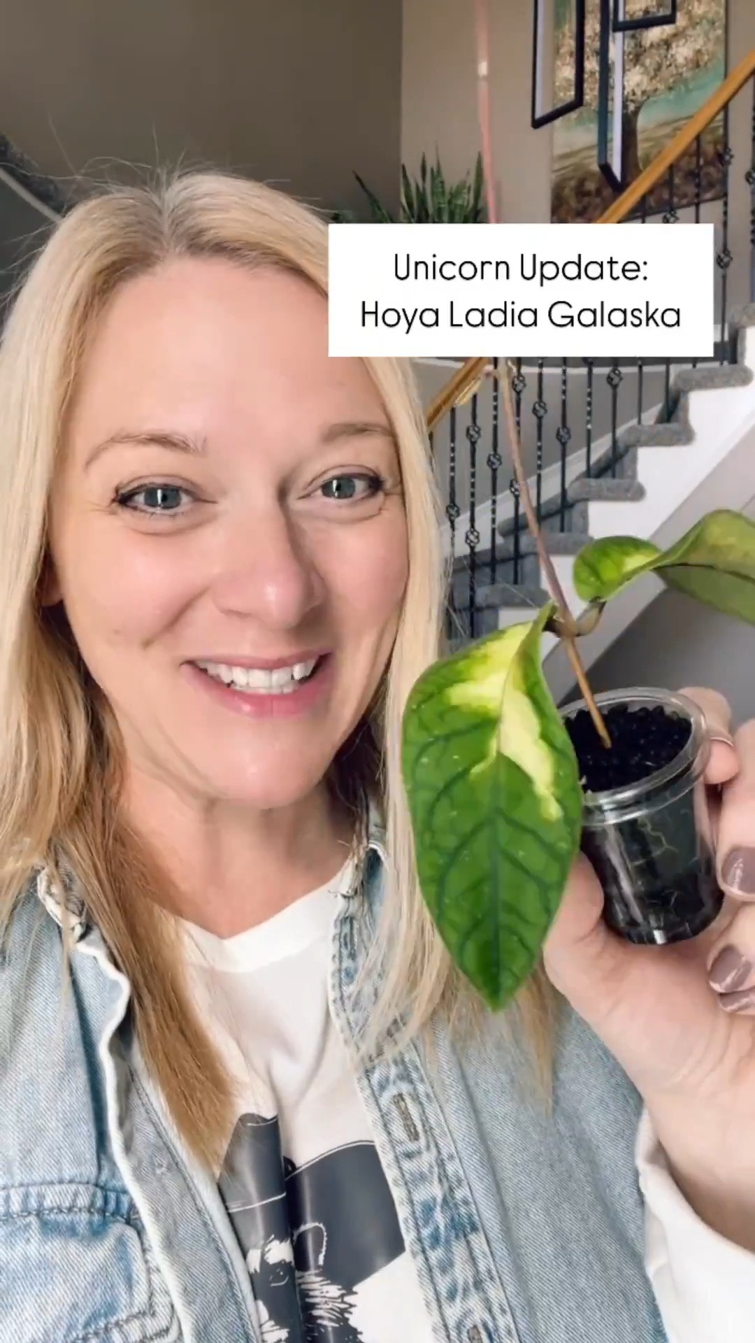 My unicorn 🦄 plant was passing the tug test only 3 weeks ago. Now it’s filled the pot with roots and pushed a vine with 3 nodes. As of yesterday a new leaf has started to take off and develop! I’m checking hourly for progress. Ok, not hourly, but it feels like it. 😆 You know if you know! 🙌 #hoyaladiagalaska #hoyaspacehladiagalaska 

Are you looking for a successful propagation set up? 🫶Comment SHOP below to receive a DM with the link to shop this post on my LTK ⬇ 🫶 I look at it this way, I always walk into a store in hopes to bump into a sales clerk who knows the  products best for Hoyas. And let’s be realistic, how often can we find a Hoya specialist in a store! I’m your store clerk at the online plant supply store. Haha! Fun way to think of it huh? When you complete a purchase through any of my links🔗the stores I connect you with send me a tiny referral bonus for connecting you to the products that I use. For me it’s about helping guide you to success!💚 my goal is to help you successfully grow your collection! 🎉Nevertheless thank you so very much for your support through my links! 🎈🤗

#ilovehoyas #hoyacollector #hoyahead #hoyaappreciation #hoyacollection #plantsmakemehappy #ihavethisthingwithplants #hoya #easilydistractedbyplants #hoyacollection #waxplant #houseofhoya #houseplantclub #rareplants #plantoftheday #plantsmakepeoplehappy #hoyacaretips #plantcare #planttips #themoreyouknow #plantphotography #plantsinmyhome #plantsinmyspace 

#LTKHome #LTKFindsUnder100 #LTKFindsUnder50