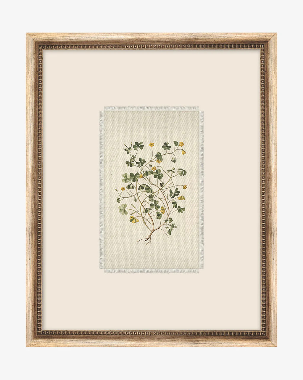 Delicate Floral ll | McGee & Co.