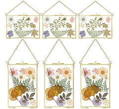 Treela 6 Pcs Vertical Pressed Flower Glass Picture Frames 5 x 7 Inch Wedding Gifts Brass Hanging ... | Amazon (US)