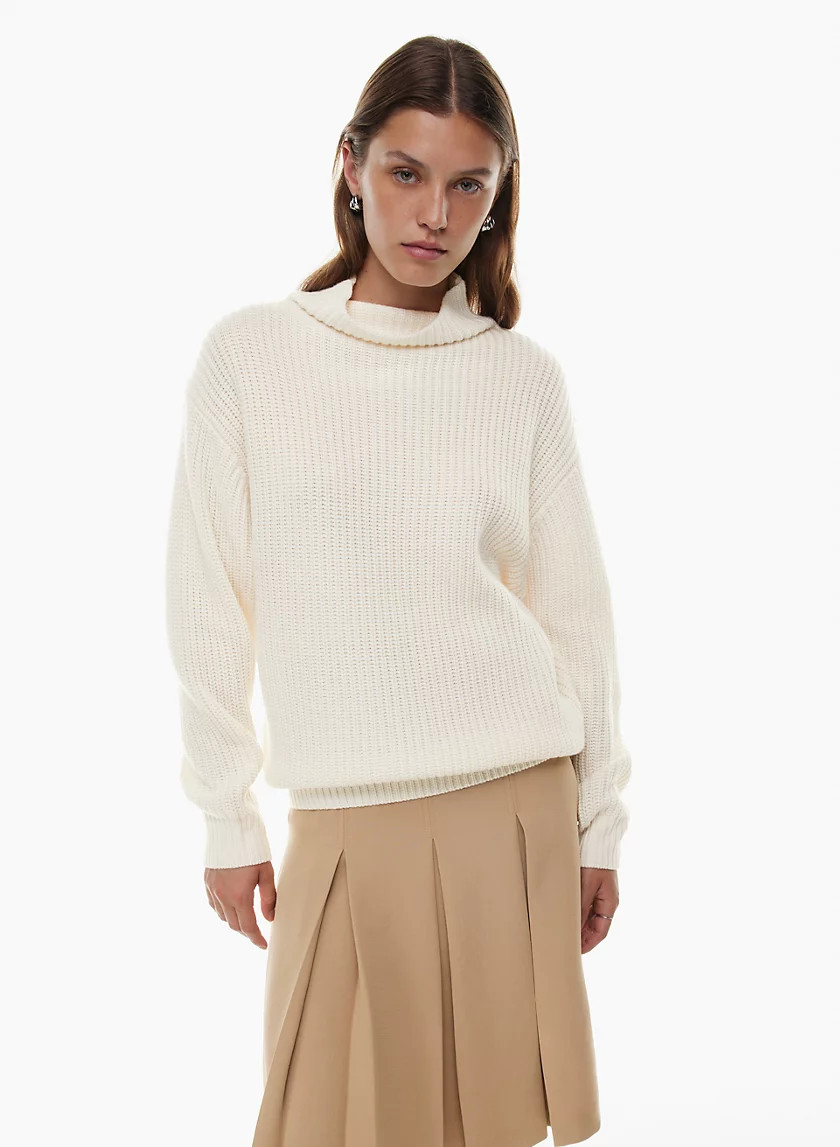 MONTPELLIER TURTLENECK | Aritzia