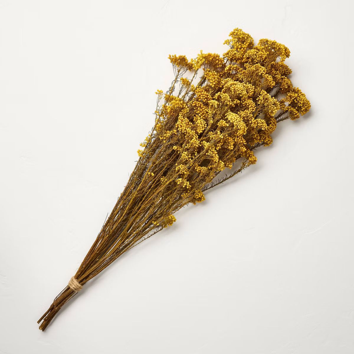 25" Preserved Golden Rice Flower Fall Stems Bundle - Hearth & Hand™ with Magnolia | Target