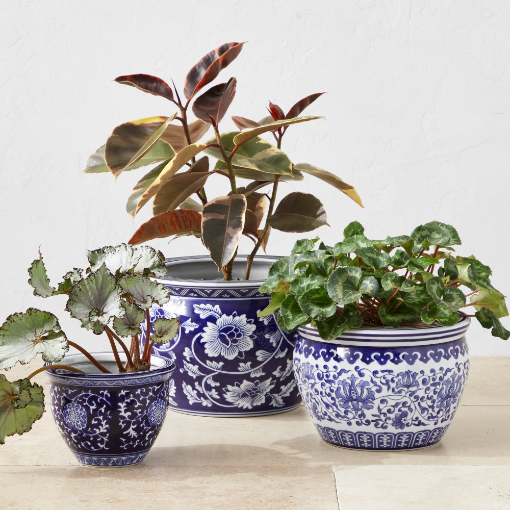 Blue & White Ceramic House Planter Set | Williams-Sonoma