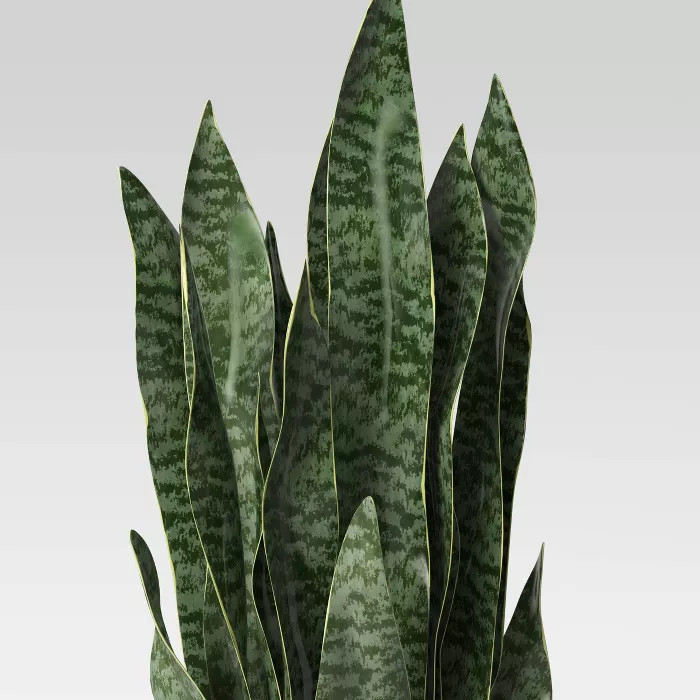 36" x 10" Artificial Snake Plant in Stand - Project 62™ | Target