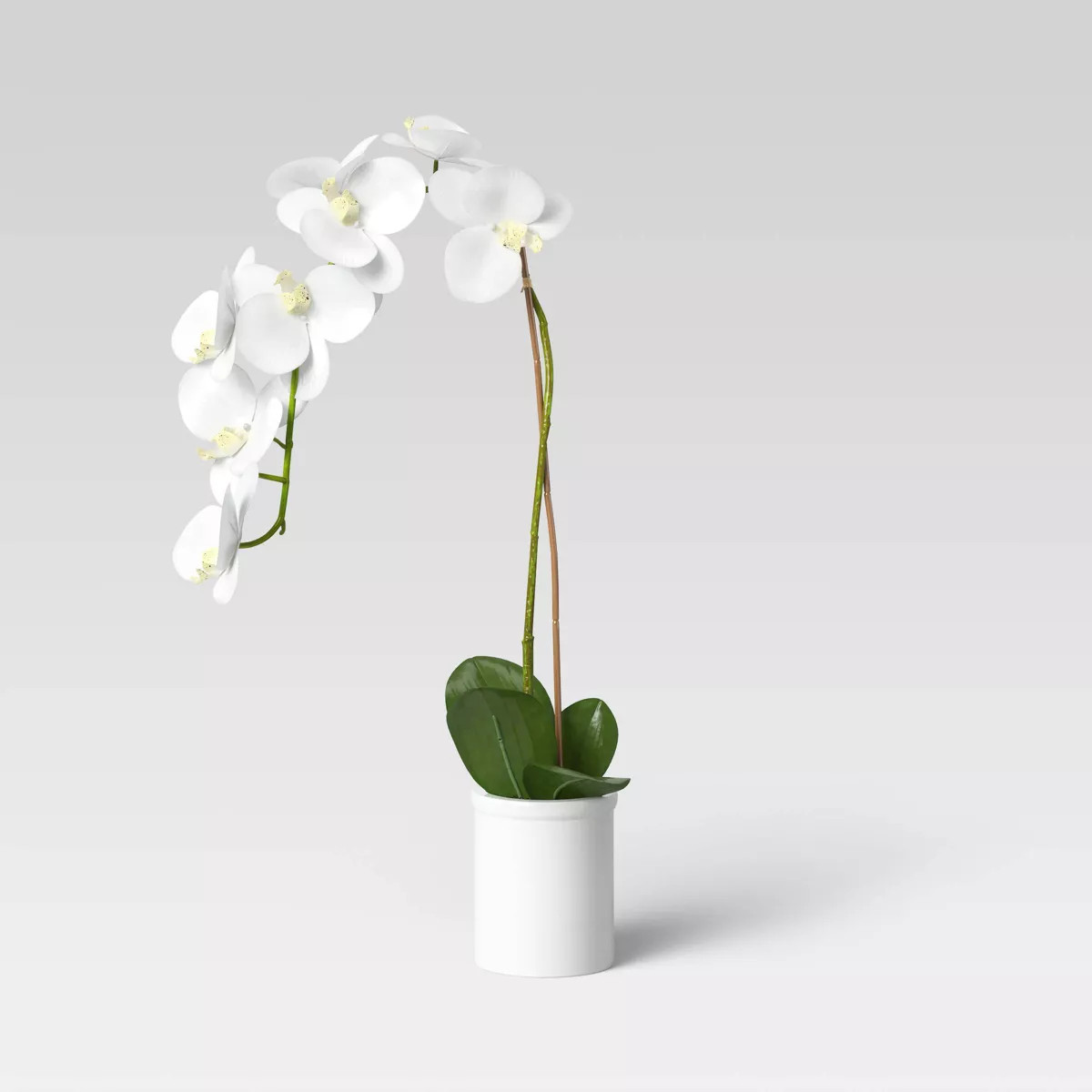 Small Potted Orchid - Threshold™: Faux Floral in Ceramic Pot, Indoor Decorative Plant | Target