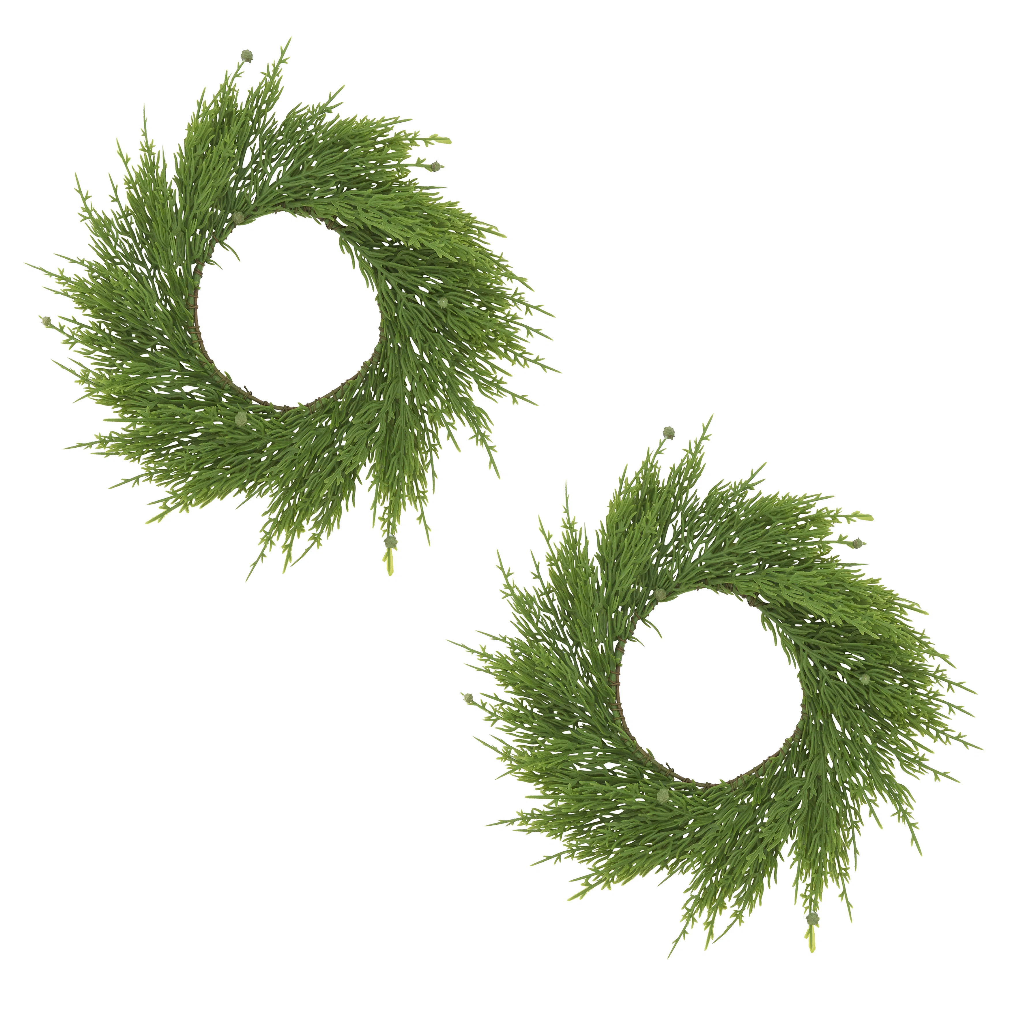 Cricklade Cypress Wreath (Set of 2) | Wayfair North America