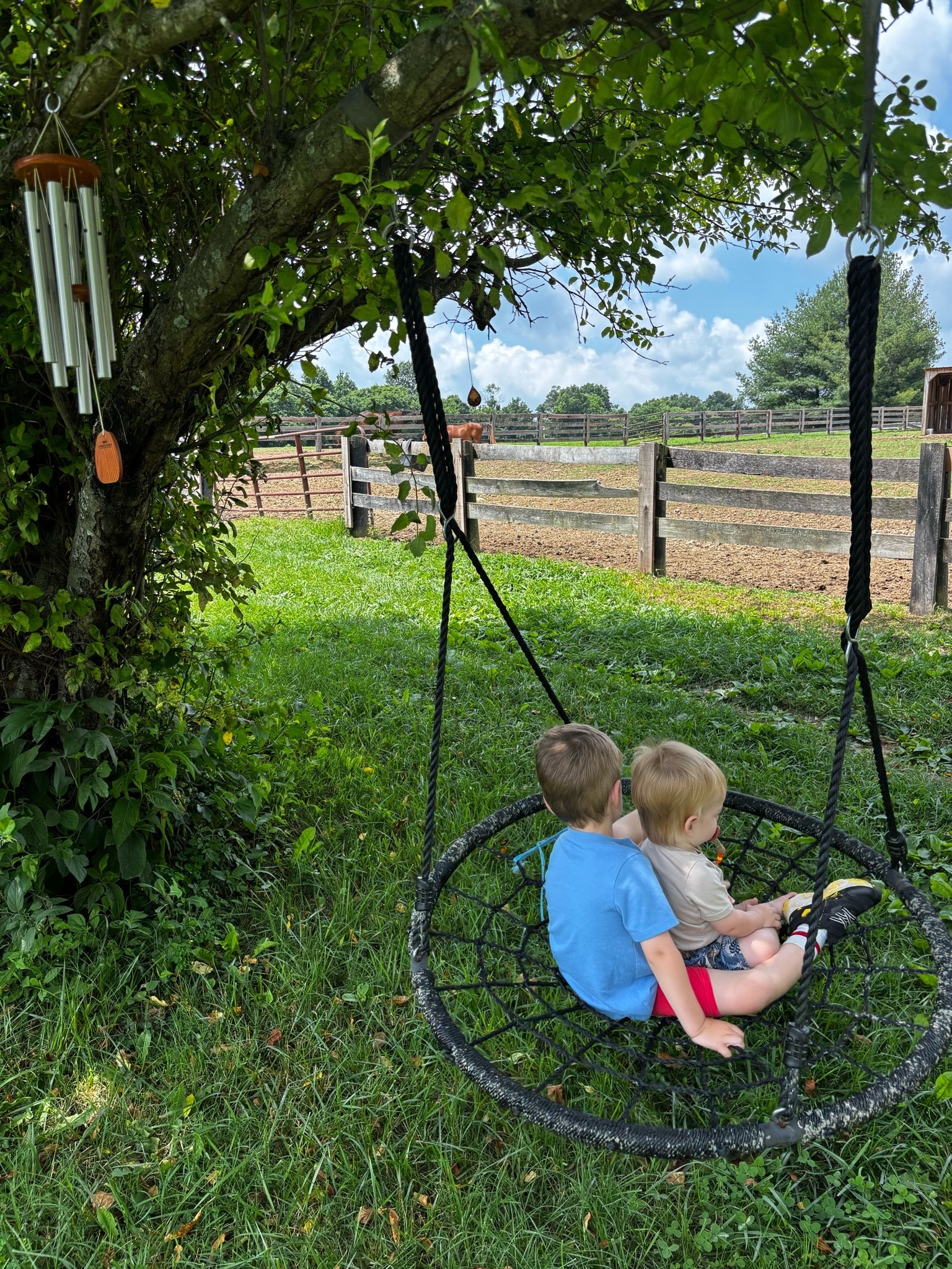 Fellowcould farm (family farm) pick me up for the boys the other day. Beau needed some bay boy lovings from Vinny and Reggie 🥹

#LTKmomlife #LTKstorytime #LTKSeasonal