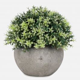 Foliage Ball Plant in Grey Pot | Linen Chest