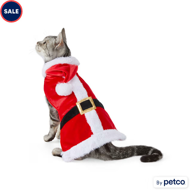 Merry Makings Santa Suit Cat Costume, X-Small | Petco