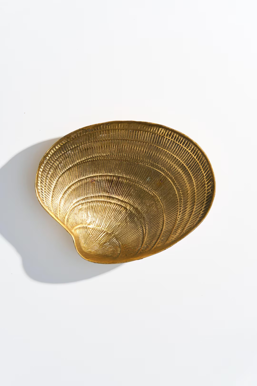 Large Vintage Brass Clam Shell Catchall Bowl // Oversized Coastal Seashell Gold Metal Dish - Etsy | Etsy (US)