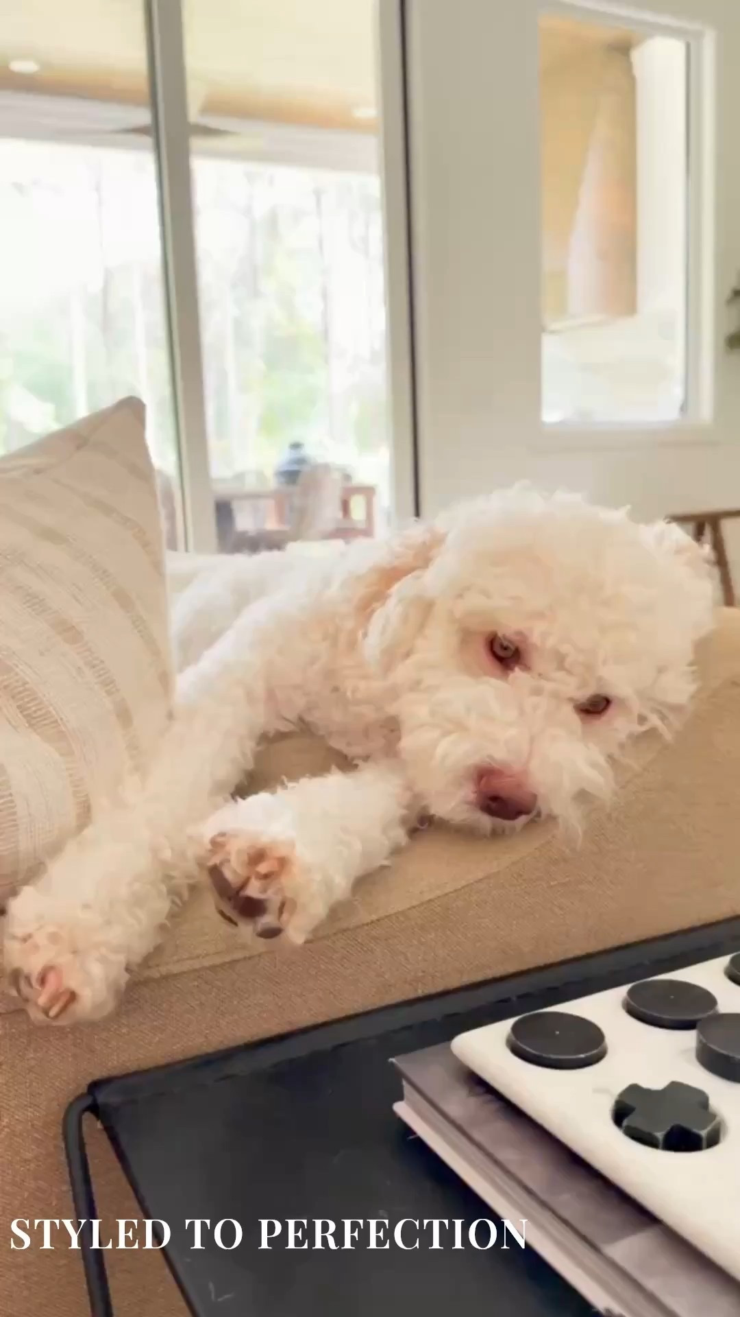 ✨ The dining room of your dreams starts with intentional design. From clean lines and modern pendant lighting to warm wood tones and sculptural seating, this Modern Classic dining space is designed for both beauty and function. 🍷🌿

Do you want to bring our dreamy Modern Classic style interior design into your own home? 🏡 You’re in luck! Reserve our Online Interior Design packages today -> https://porcheandco.com/edesign ✨ We can’t wait to work with you & design your home with #porcheandco

#porcheandco #moderndiningroom #diningroomdesign #modernclassicstyle #interiordining #cozydining #moderndecor #timelessdesign #interiorstyling #edesign


#LTKHome #LTKvlog #LTKOver40