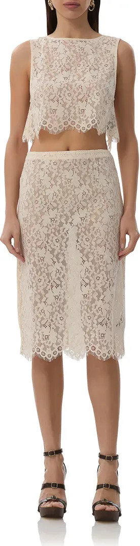 Arista Lace Midi Skirt | Nordstrom
