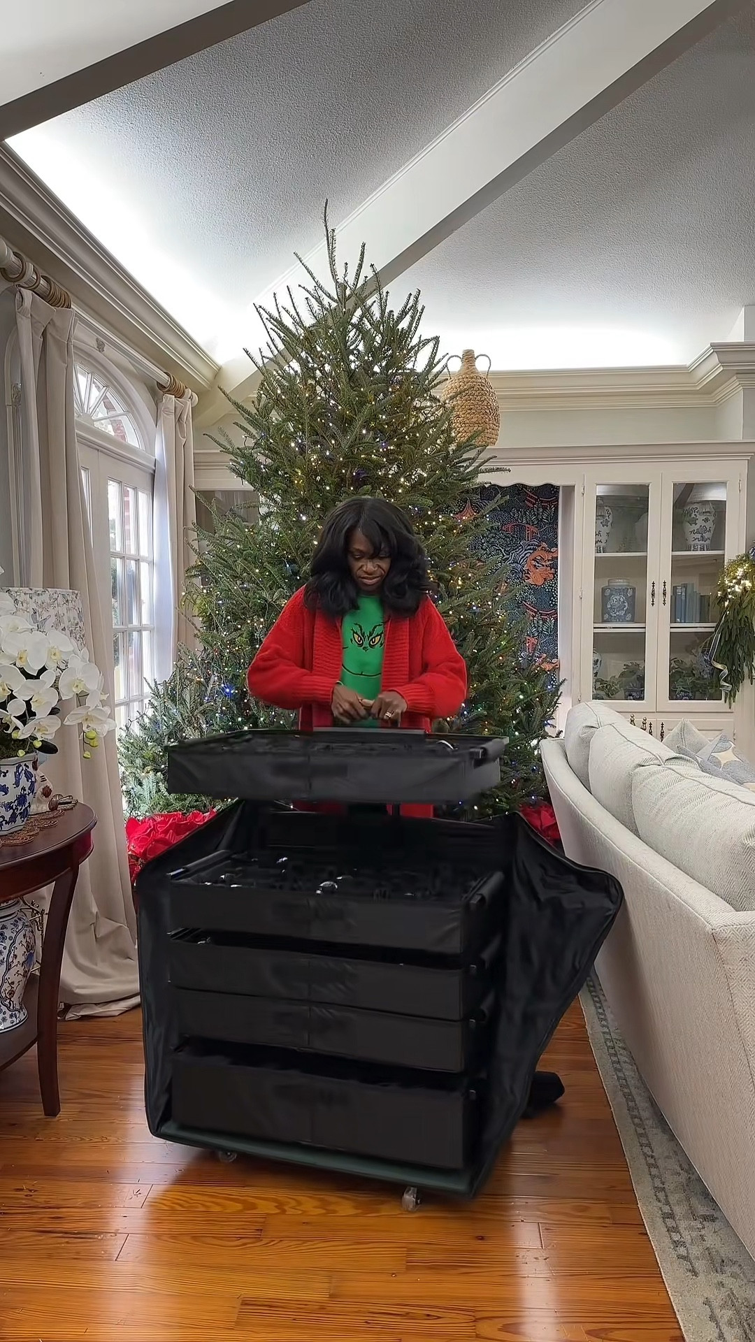 Christmas tree, ornament storage 

#LTKHome #LTKHoliday