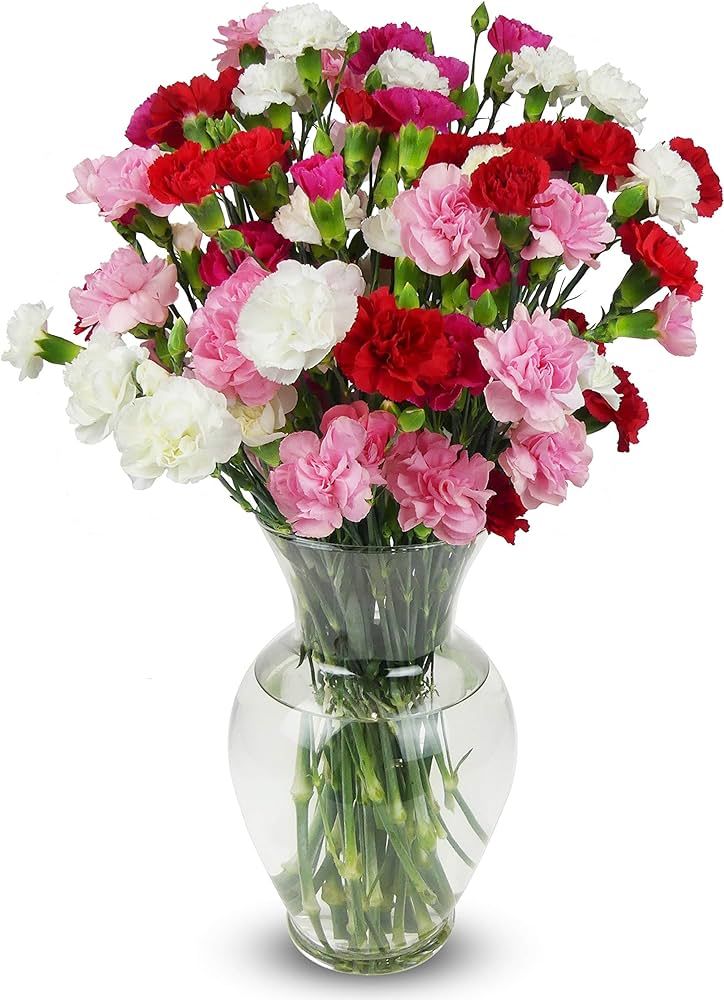 Benchmark Bouquets 20 stem Rainbow Mini Carnations, With Vase (Fresh Cut Flowers) | Amazon (US)