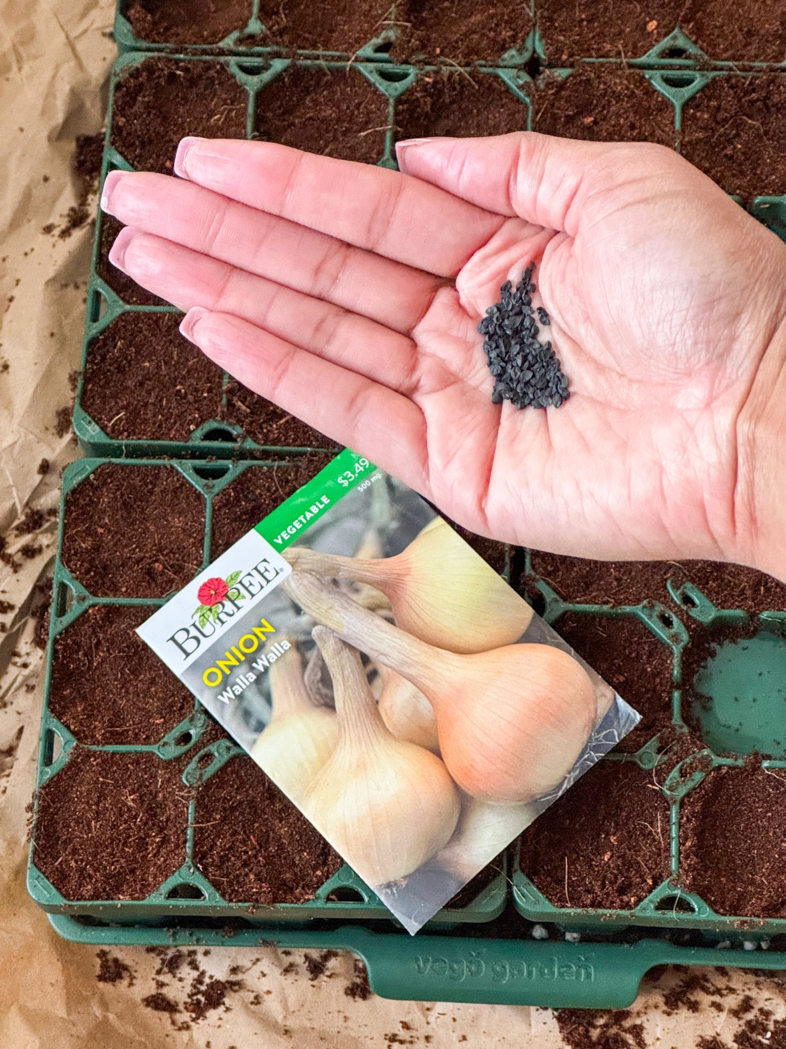 My Zone 6b Seed Starting Essentials! 🧅✨
February is officially onion-starting month here in Connecticut! Getting a head start indoors is the only way to ensure those big, beautiful harvests come summer.
I’m currently setting up my Standard 1020 Germination Cell Bundle—these trays are heavy-duty and built to last for seasons, unlike the flimsy ones you find at big-box stores. To keep the seedlings from getting leggy, I’m using the 4 Tier Grow Light Garden. It’s a total game-changer for small spaces and gives off the perfect light spectrum for strong stems.

What’s featured here:
• Burpee Seeds: My go-to for reliable germination.
• 1020 Tray Bundle: Professional grade and bottom-watering compatible.  
• 4 Tier Grow Light Stand: Adjustable and compact.
• Vego Garden Beds: Where these onions will eventually live! (Link also in bio).

Everything is linked below to help you get your 2026 garden started! Happy growing! 👩‍🌾🌱

#LTKhome #LTKgarden #SeedStarting #GardeningEssentials #VegoGarden #Zone6b #IndoorGarden #OnionSeeds #GardenSetup