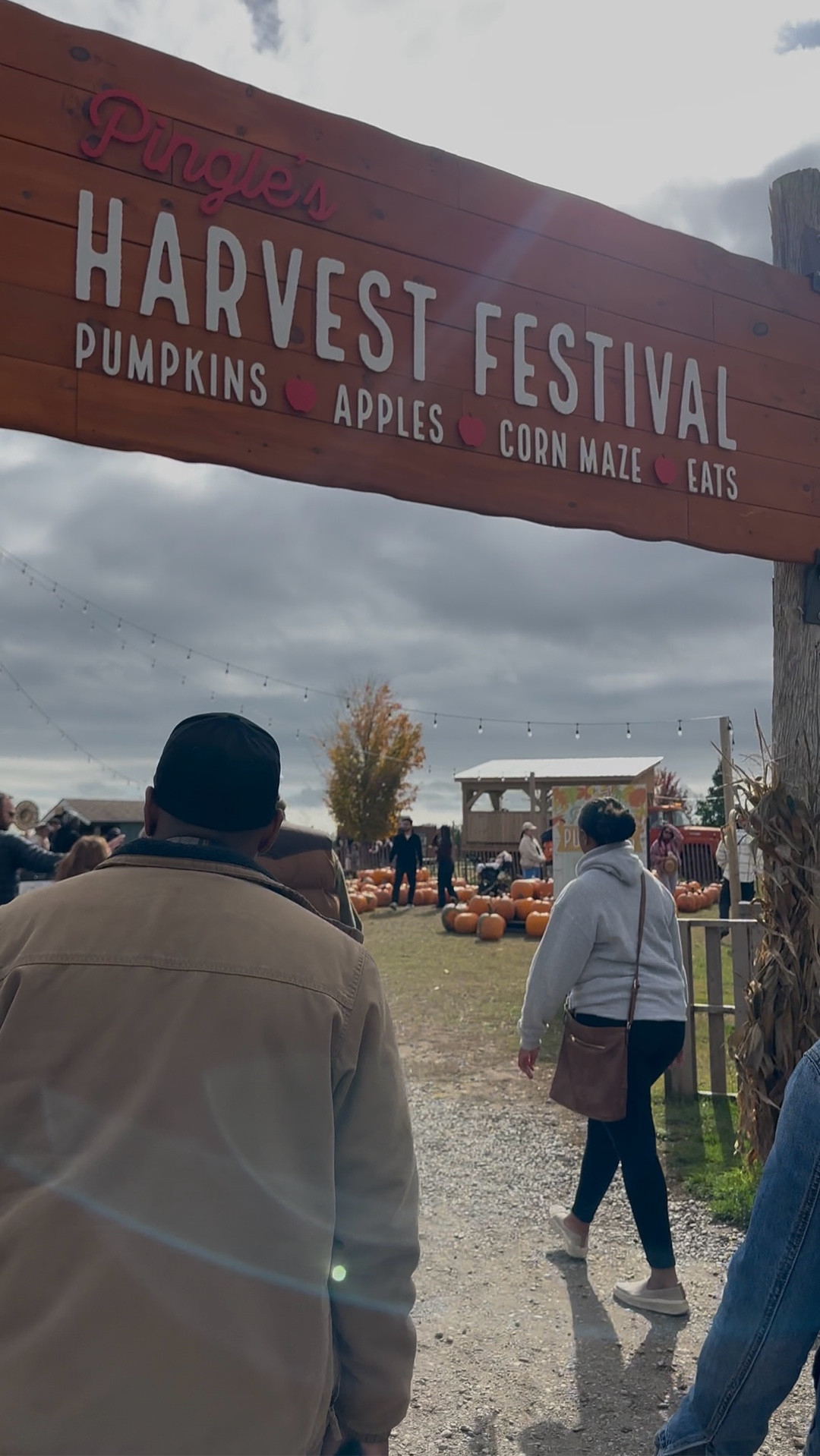 Romanticizing fall one apple at a time 🍁 Outfit linked 🤎 #LTKStyle #LTKFallFashion #OOTDInspo #FallAesthetic #CozyVibes

#LTKfall #LTKcanada #LTKjeans