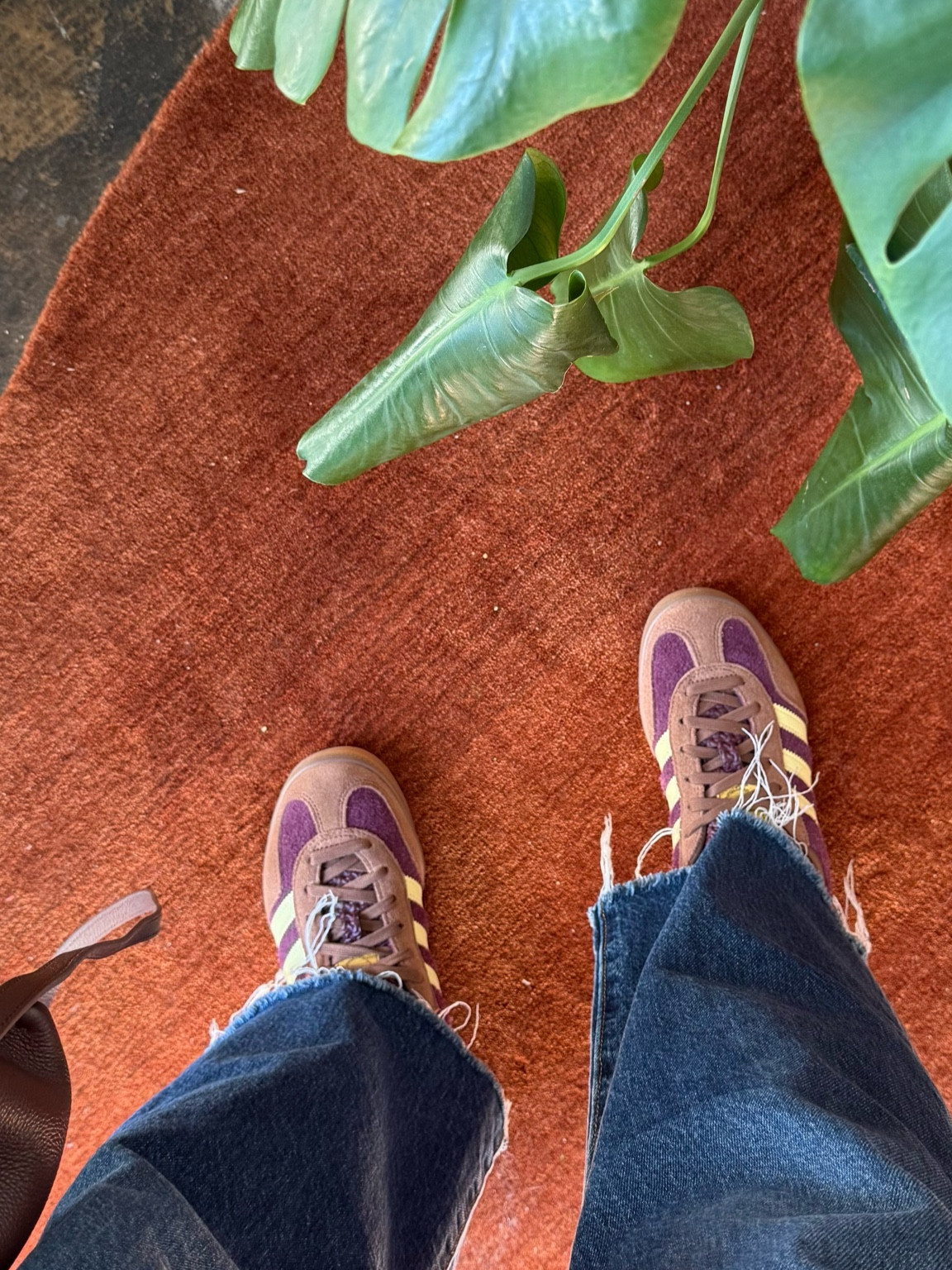 Fall Adidas 

#LTKSaleAlert #LTKShoeCrush #LTKStyleTip