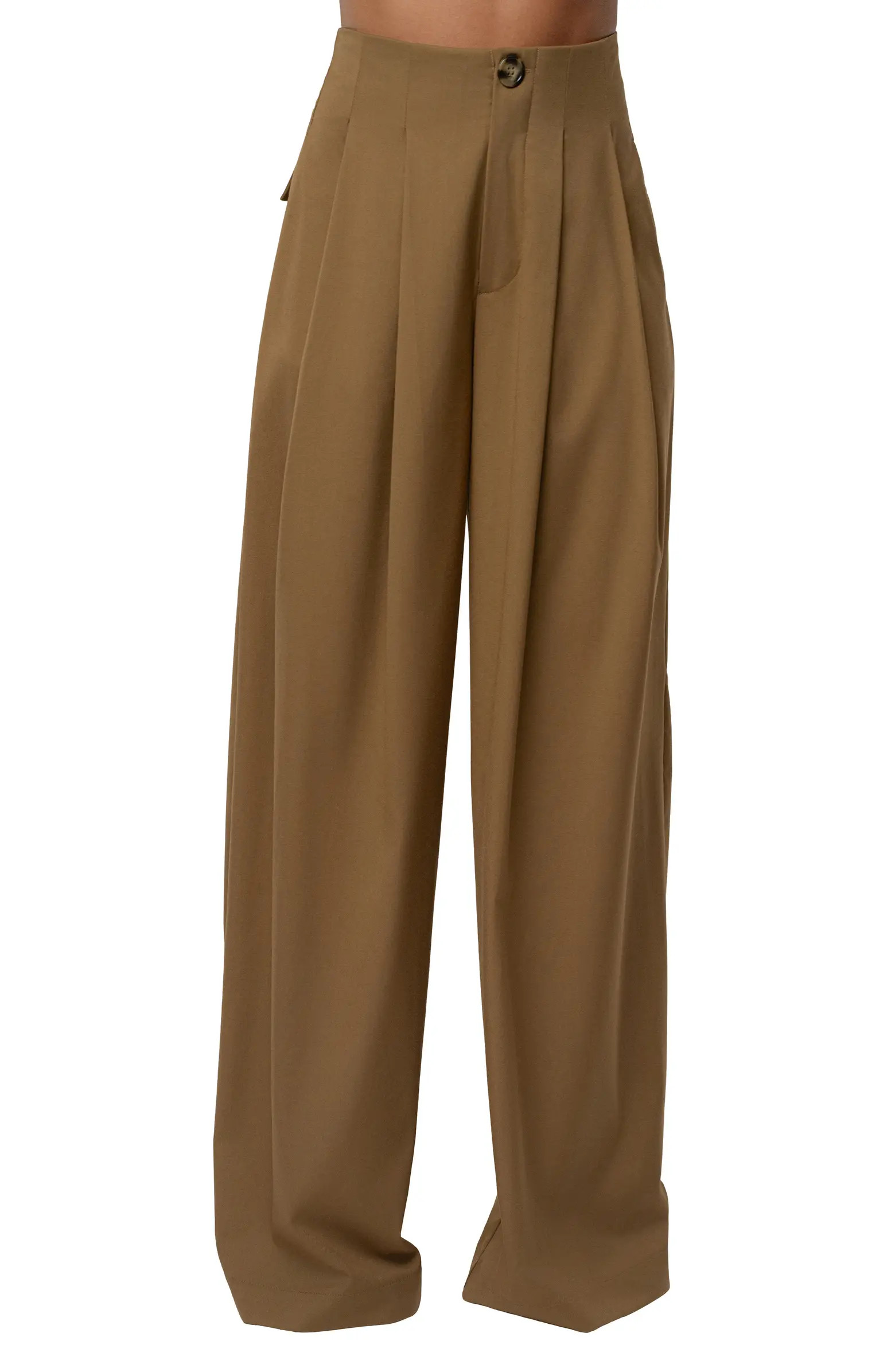 Pleated Wide Leg Pants | Nordstrom