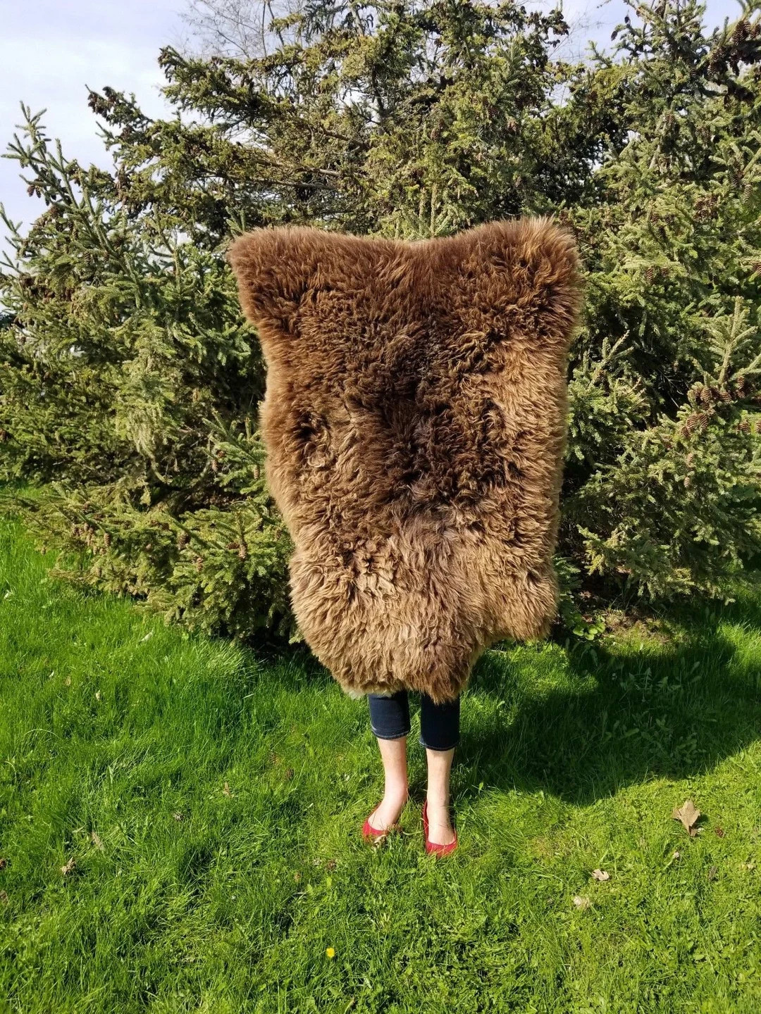 sheepskin rug Scandinavian soft Dense wool brown color 100% natural | Etsy (US)