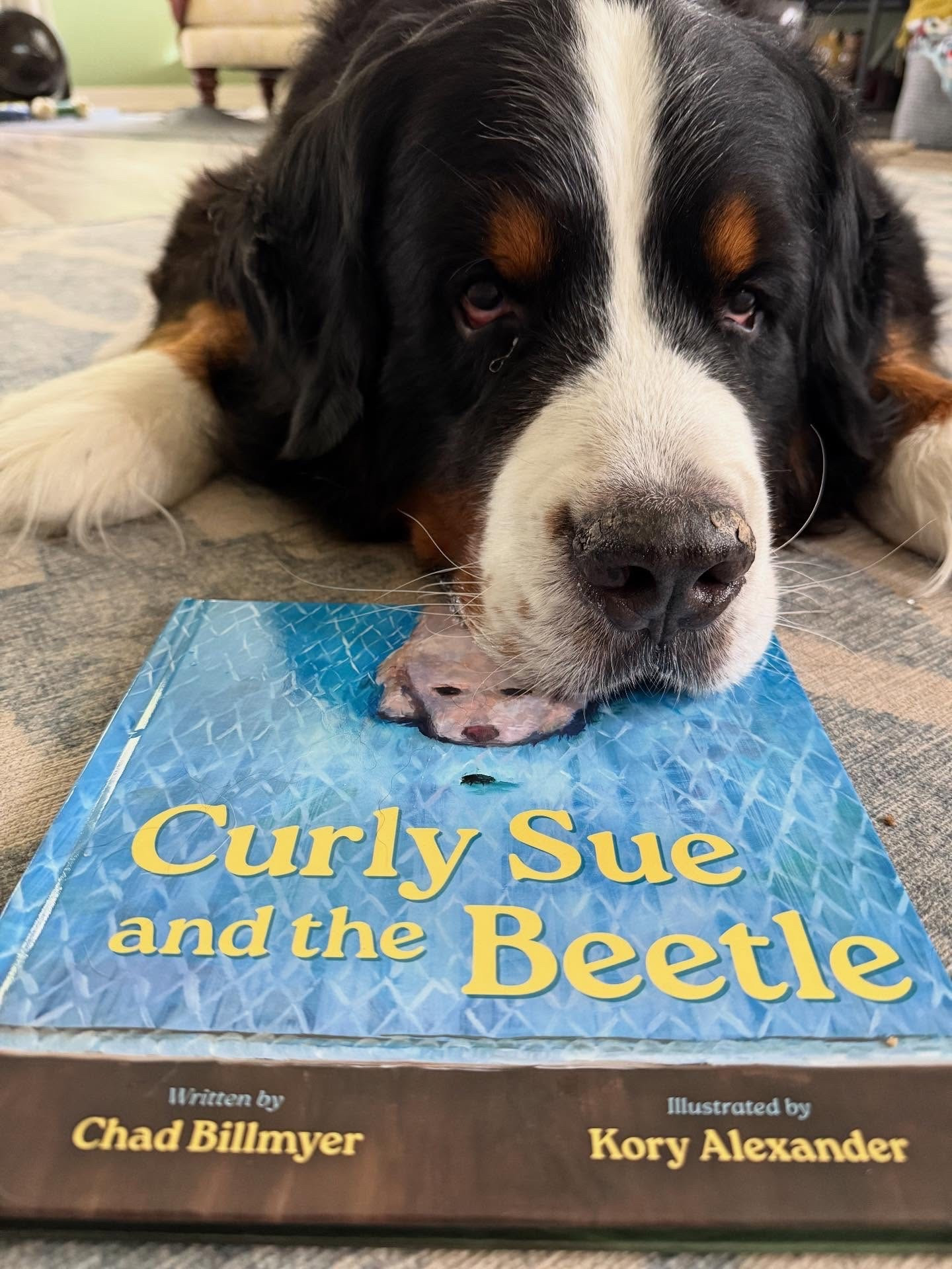 ✨ Book Spotlight ✨
Curly Sue and the Beetle 
📚 By: Chad Billmyer

Synopsis: 
“A dog named Curly Sue spends her day waiting for her boy to come home from school. Told through the dog’s perspective, this story follows Curly Sue as she observes nature in the yard, wishing her boy were there to see the birds, squirrels, and insects she sees. Because her boy loves nature, she tries to capture different critters like a bee and a ladybug to give as a gift to her boy. She successfully captures a beetle and presents it to her boy upon his return from school. He is thrilled by the dog’s creative expression of love and loyalty.”

I loved sharing this story with my class — it was the perfect way to connect our reading time with lessons about nature and observation.

If your pet could bring you a gift like Curly Sue, what do you think it would be

Thanks @bookinfluencerscom for the #gifted copy! 

#CurlySueandthBeetle #Chad Billmyer
#BookSpotlight #ClassroomReads #TeachersOfInstagram #ReadAloud #KidsBooks #NatureInspires #DogLovers  #ChildrensBooks #Bookstagram