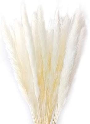 MLSG 60 Stems Natural Dry Flowers Small Pampas Grass, Phragmites Communis, Dried Flowers Bouquet ... | Amazon (US)