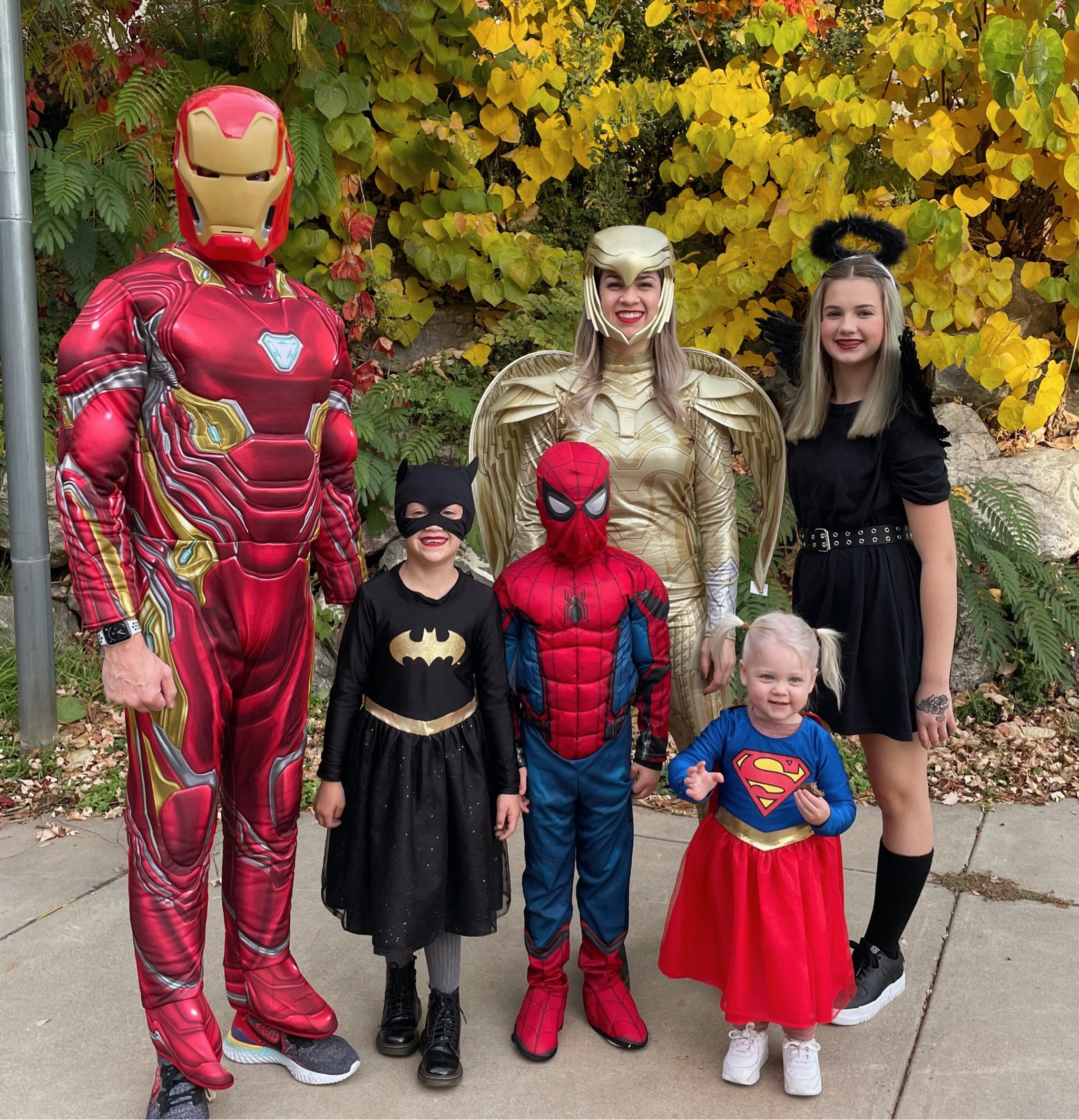 Marvel/Superheroes Family Group Costumes

#LTKSeasonal #LTKHalloween #LTKfamily