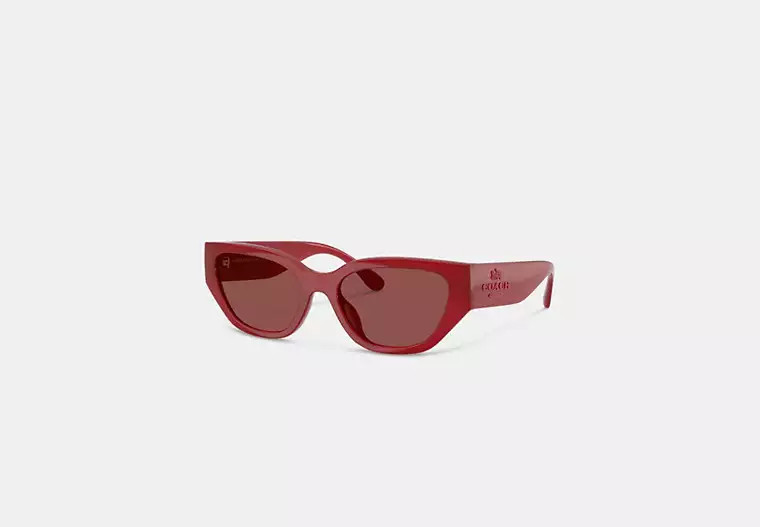 Coach Outlet Geometric Cat Eye Sunglasses - Red | Coach Outlet US