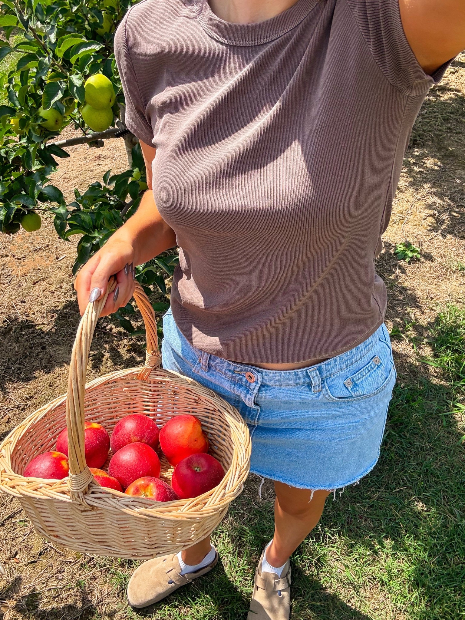 apple picking outfit! everything is from city beach australia ! ✨🍂

#LTKStyleTip #LTKU
