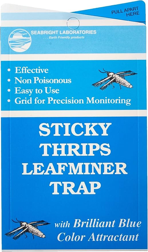 Seabright HGSLTLT Sticky Thrip Leafminer Trap, Pack of 5 | Amazon (US)
