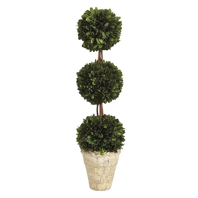 Preserved Boxwood Topiary | Ballard Designs, Inc.