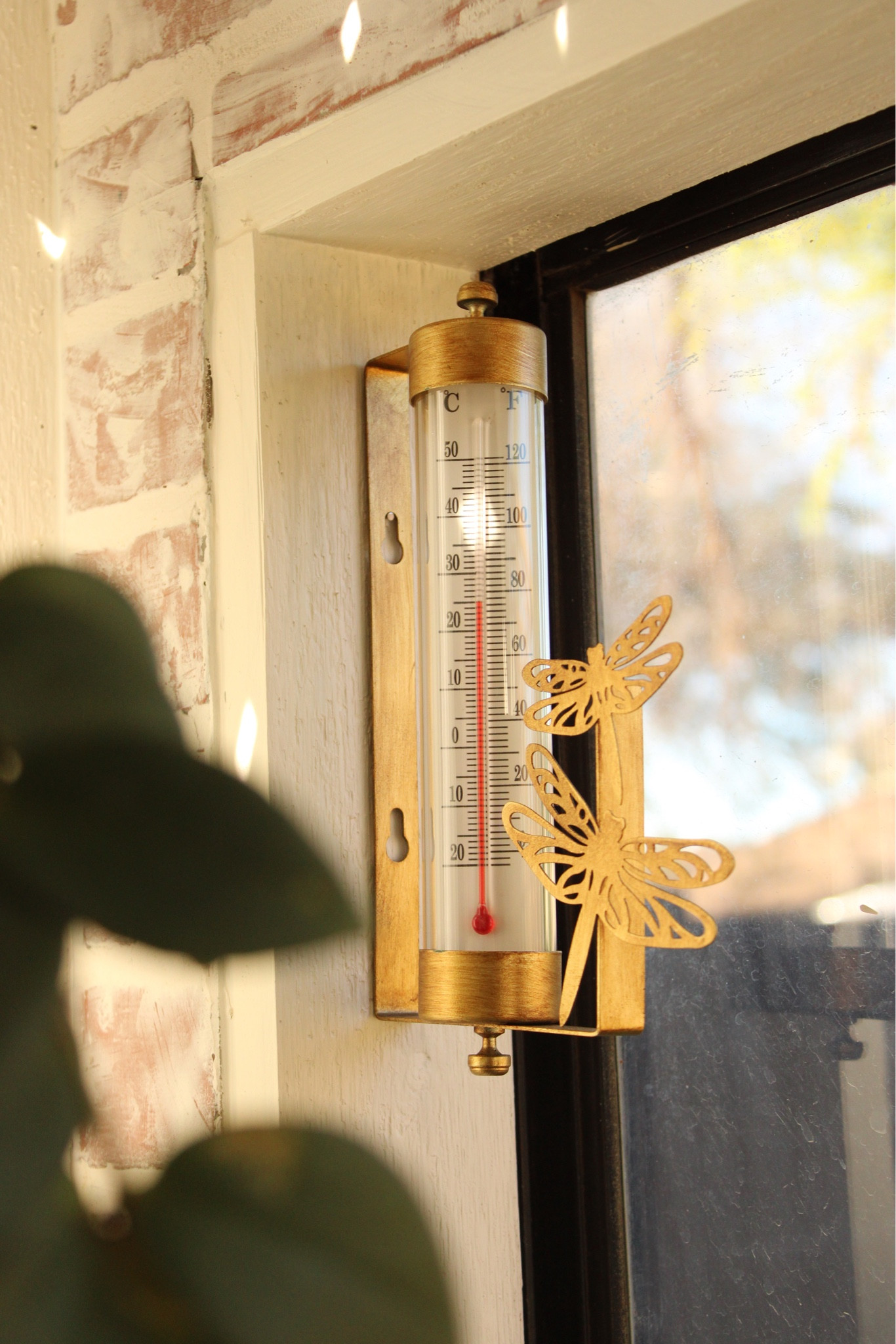 One of my favorite sunroom finds!! 

#LTKSeasonal #LTKhome