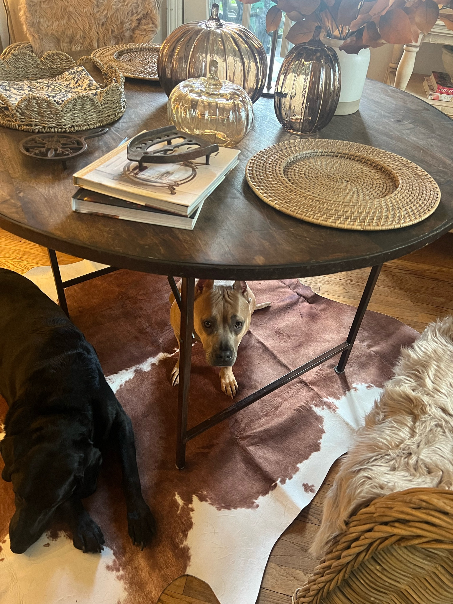 New rug 

#LTKHome #LTKSeasonal